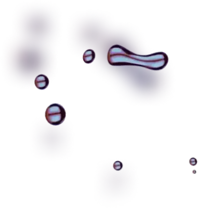 Bitcoin Nexique AI - Maximize Your Returns with Oil Profit It is Time to Make Your Trade